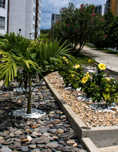 Jardinería y mantenimiento de prados en Pereira