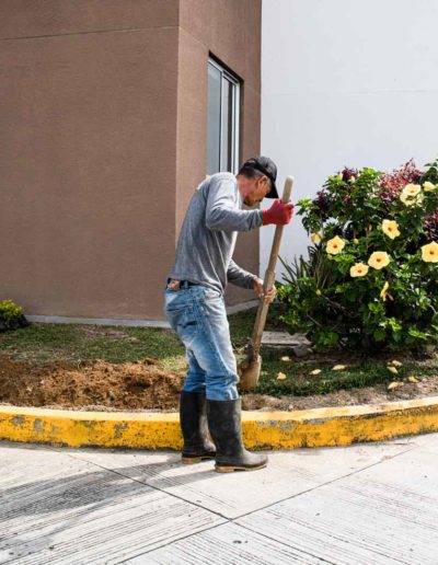 Mantenimiento de plantas