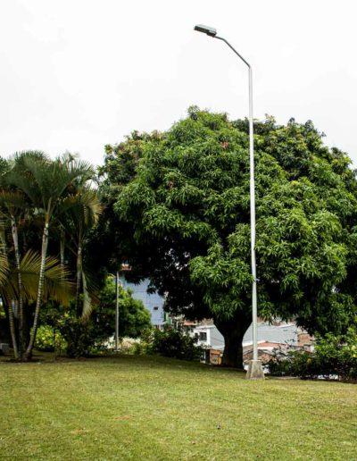 Mantenimiento de jardines, plateo