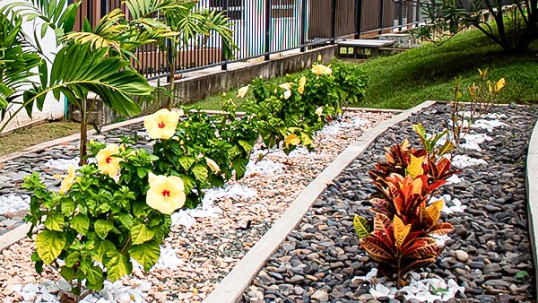 Servicios de Jardinería Pereira