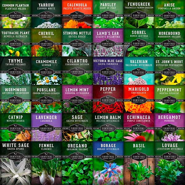 Semillas y Semilleros para huertas y jardines